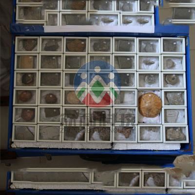 地質(zhì)標本資料